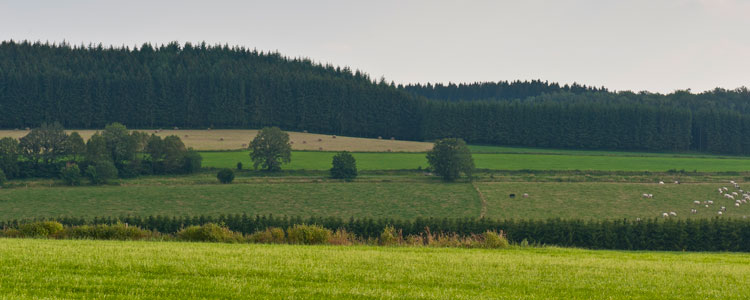 Les gîtes ardennes cottage vakantiehuizen